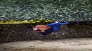 Yalovada alkollü kadın deniz kenarına düşerek baygınlık geçirdi