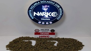 Yalovada uyuşturucu operasyonunda 2 tutuklama
