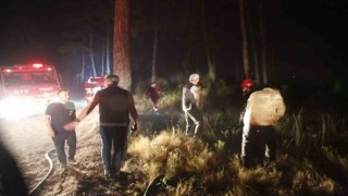 Yangın gece boyu devam etti, Orman Genel Müdürü Vali Akıyık ile geceyi sahada geçirdi