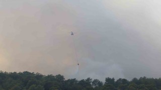Yangına 9 helikopter, 6 uçak müdahale ediyor