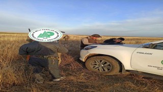 Yasa dışı avcılara ceza yazıldı