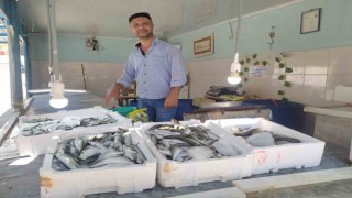 Yasak kalktı, tezgahlar balık doldu, fiyatlar uygun