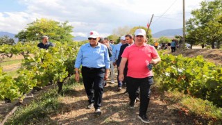 Yıldırım yeni üzüm çeşitleri hakkında bilgi aldı