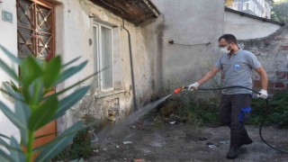 Yıldırımda ilaçlama çalışmaları devam ediyor