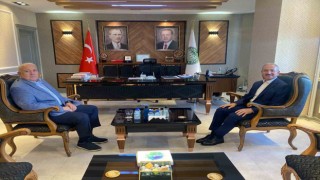 Yılmaz: “Kokarca zararlısından en az hasarla kurtulabilmek için çalışıyoruz”