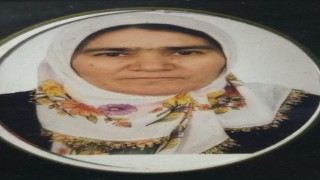 Yolun karşısına geçmek isteyen kadına hafif ticari araç çarptı: 1 ölü