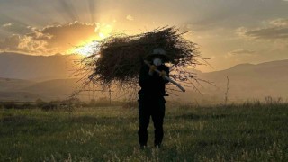 Yüksekovada çiftçilerin kış hazırlığı başladı