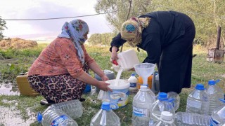 Yüksekovada kışlık süt mesaisi