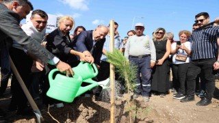 Yüreğirde ‘Narin için hatıra korusu oluşturuldu