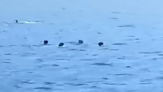 Yüzerek Yunanistana geçmeye çalışan 5 düzensiz göçmen yakalandı