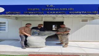 Yüzlerce balığın ölümüne sebep olan 2 kişi jandarmadan kaçamadı