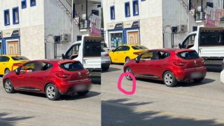 Zabıta ekiplerinden izmarit cezası