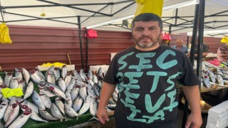 Zonguldakta palamut fiyatları 75 TL oldu