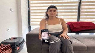 15 gündür beslediği Pamuku bulana ödül verecek