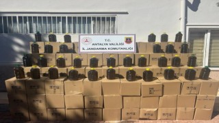 8 bin litre sahte zeytinyağı ele geçirildi