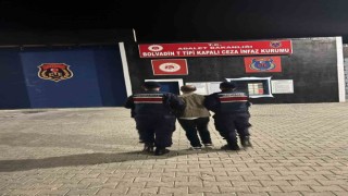 8 yıl 4 ay hapis cezasıyla aranan şahsı devriye gezen jandarma yakaladı