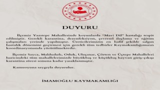 Adanada bir mahalleye ‘mavi dil karantinası