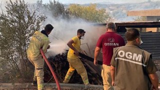 Adana'da Çıkan Orman Yangını Kontrol Altına Alındı