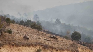 Afyonkarahisarda orman yangını