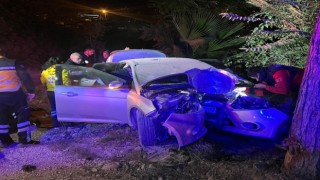 Ağaca çarpan otomobilde hayatını kaybetti