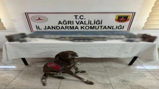 Ağrıda kaçakçılık operasyonu