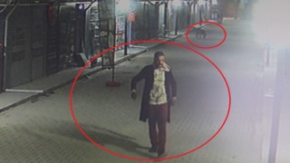 Akılalmaz olay: İş yerinin kapısını açıp kedileri köpeklere parçalattı