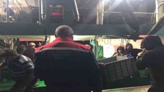 Altınkum iskelesinde ‘Hamsi denetimi yapıldı