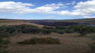 Altınözünde anız yangını