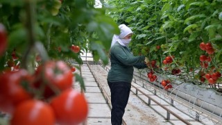 Anadolu coğrafyasının Beyaz Altını jeotermal