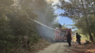 Antakyada orman yangını kısa sürede söndürüldü
