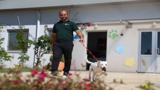 Antalyasporun yeni misafiri: Akrep