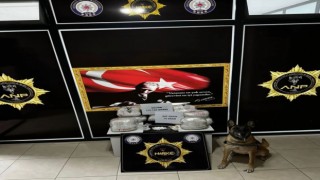 Arama yapılan 2 tırda 12 kilo skunk ele geçirildi