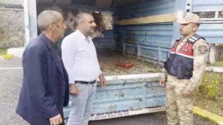 Ardahan çalınan büyükbaş hayvan Karsta jandarmaya takıldı