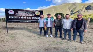 Artvinde keşfedilen bal, köylünün yeni gelir kapısı oldu