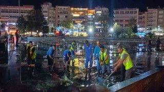 Aydın, Büyükşehirle daha yeşil bir görünüme kavuşuyor