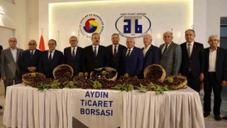 Aydında sezonun ilk kestanesi kilosu 500 TLden alındı