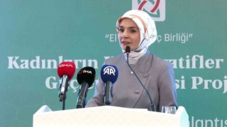 Bakan Göktaş: “Biz 6284ü sonuna kadar uygulatmaya kararlıyız, bu kanun bizim için hakikaten çok kıymetli”