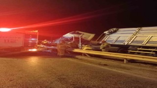 Bandırmada yoldan çıkan kamyon tabelaya çarptı: 1 yaralı