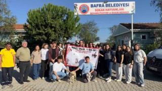 Barınaktan okula sevimli dost