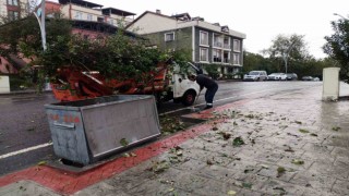 Başiskelede çevre kirliliğine izin verilmiyor