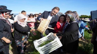 Başkan Akın, kadın çiftçilerin yanında