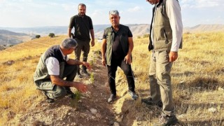 Batmanda bin dekarlık alanda inceleme