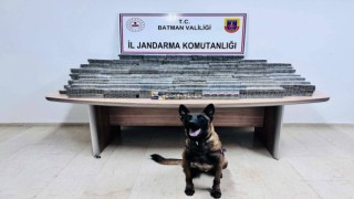 Batmanda durdurulan araçta gümrük kaçağı sigara ele geçiridi