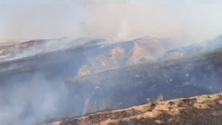 Batmanda yaklaşık 100 dönüm anız yangında kül oldu