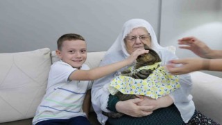 Bebek gibi giydirdiği kedisiyle 82 yaşında fenomen oldu