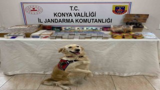Beyşehirde kaçakçılara jandarma operasyonu