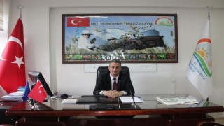 Bilecikte çitçilerin kahverengi kokarca paniği