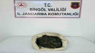 Bingölde 1 kilo 975 gram esrar ele geçirildi
