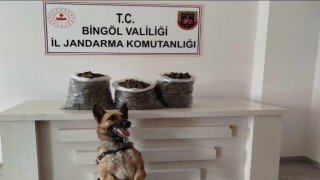 Bingölde 4,5 kilo esrar ele geçirildi