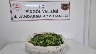 Bingölde uyuşturucu operasyonu